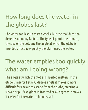 how do plant watering globes work