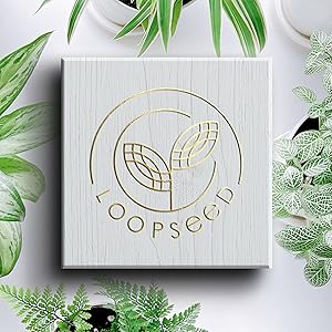 loopseed logo new
