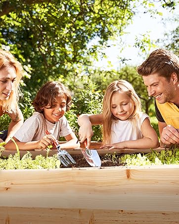 raised garden bed