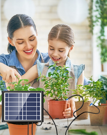 plant watering system