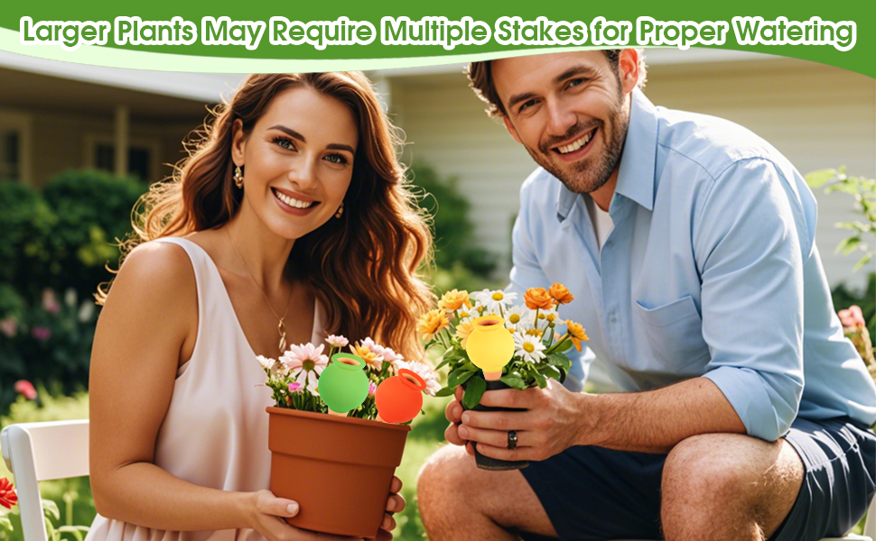 self watering spikes