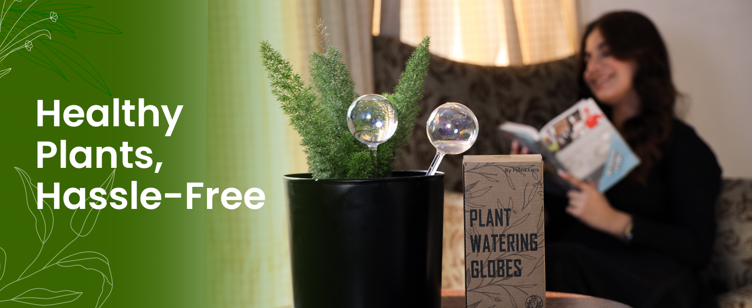 Plant self watering