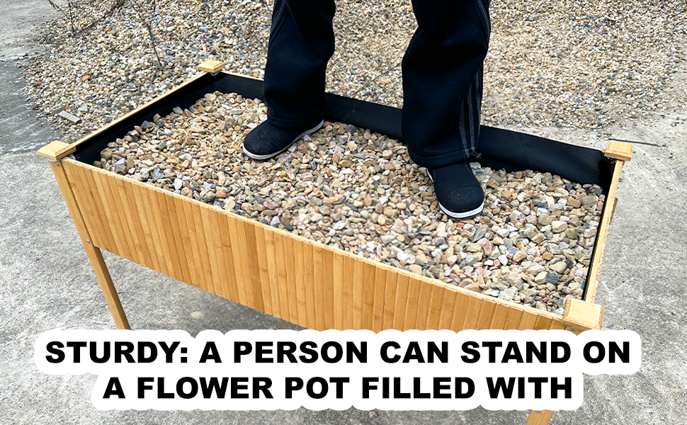 Raised Garden Bed