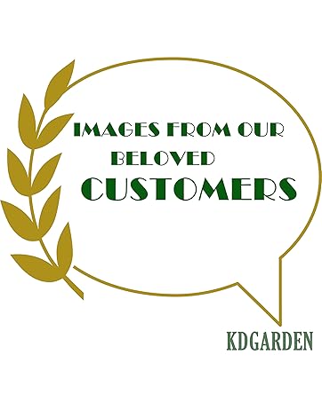 KDGARDEN