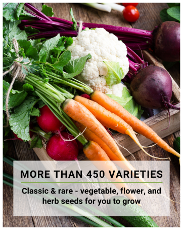 more than 450 varieties classic and rare vegetable flower and herb seeds for you to grow