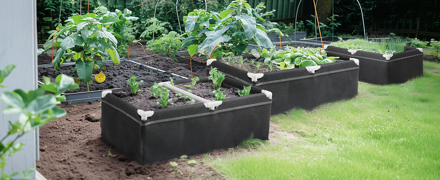 raised beds