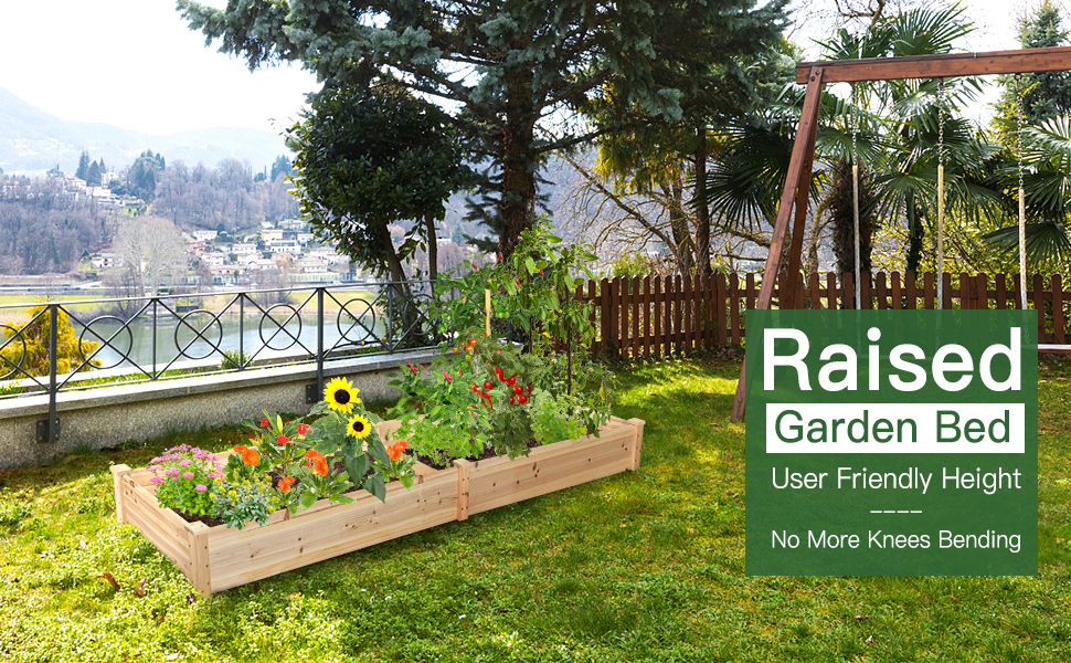 garden raised bed