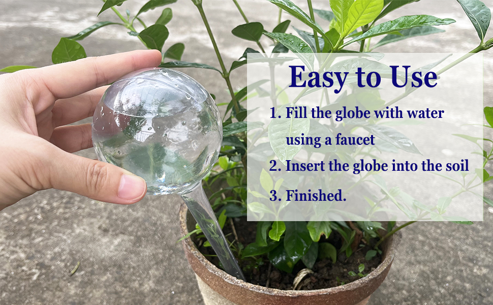 transparent watering bulbs