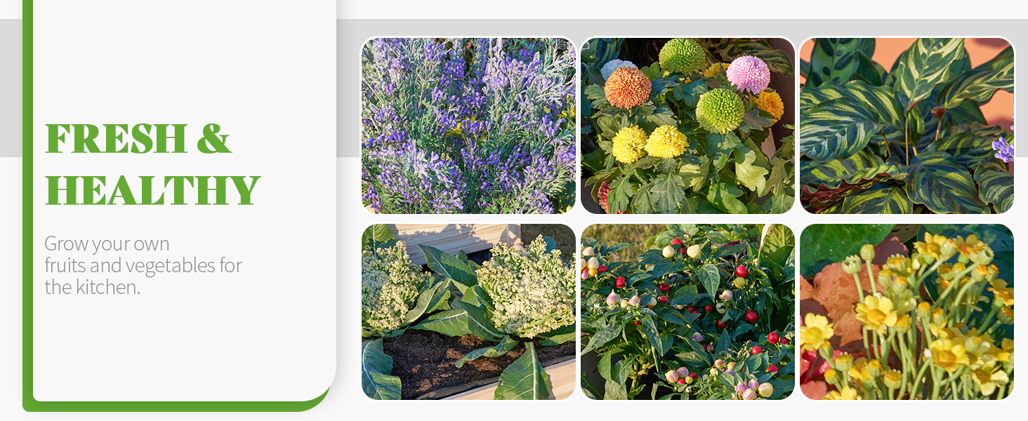 raised garden bed