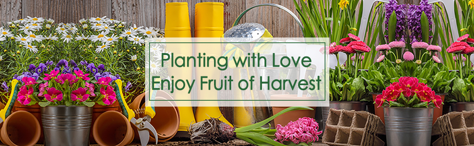 planting box