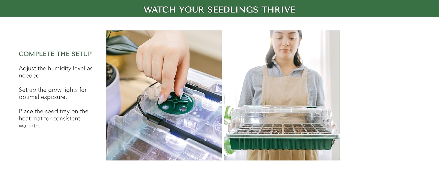 plant starter kits for seed starting, grow lights for seed starting, seed starter kit