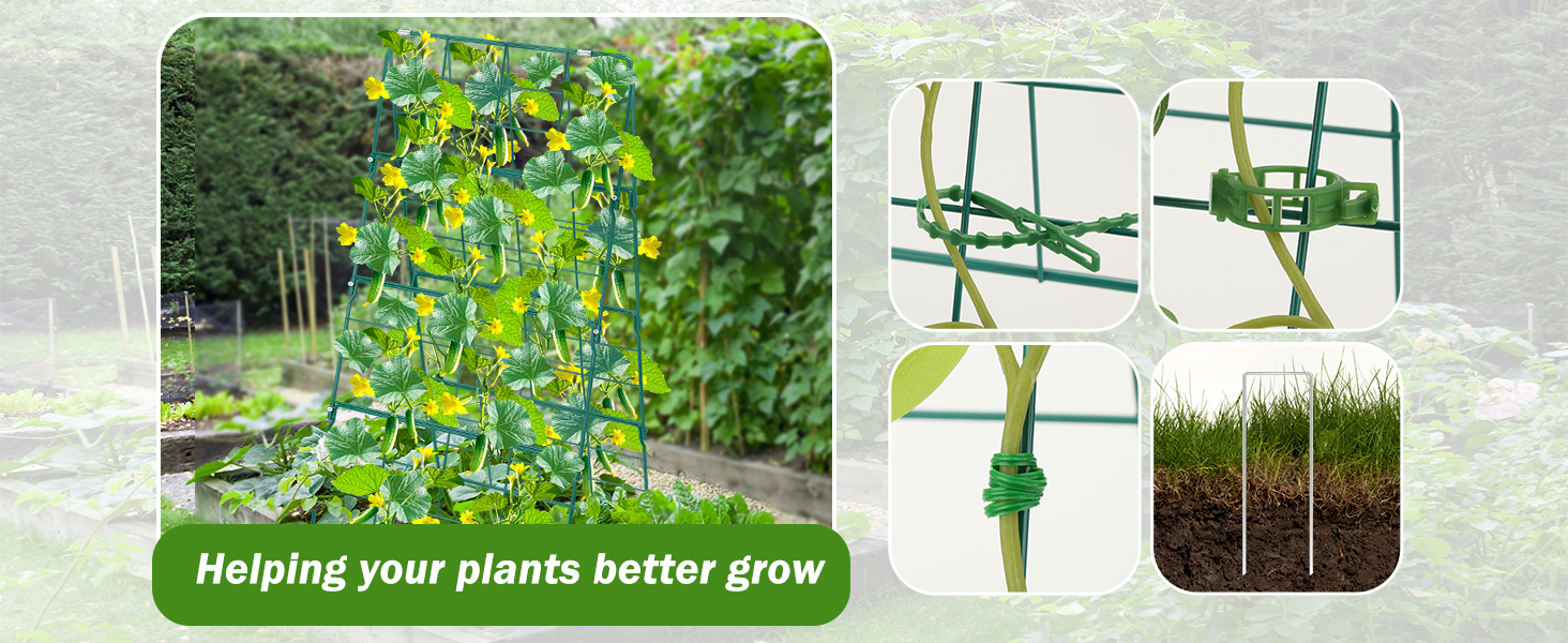 garden trellis for cucumbers