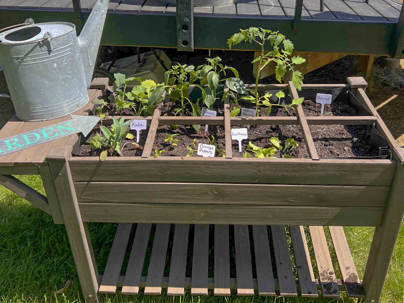 elevated herb garden