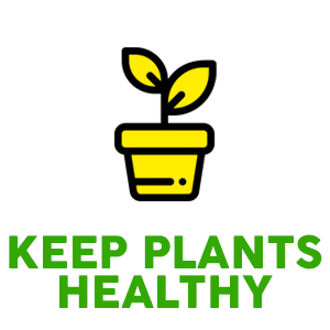 takes auto tree nanny device potted when pricetail spike self-watering pepper waterer on vacation