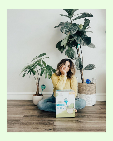 Plant Watering Globes
