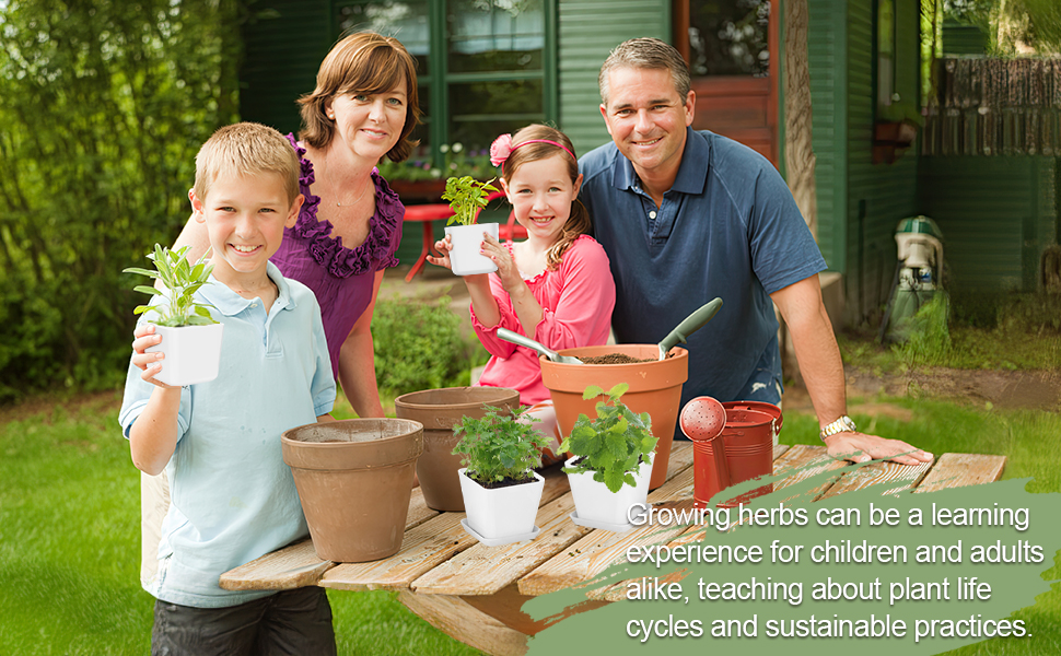 herb garden kit indoor herb garden starter kit kichen window herb garden planter indoor kit