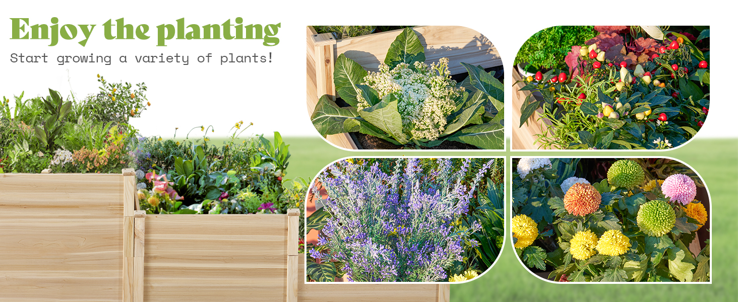 raised garden bed