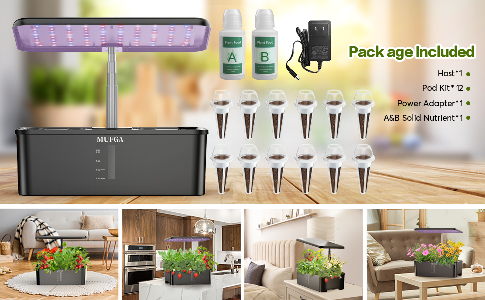 hydroponic garden