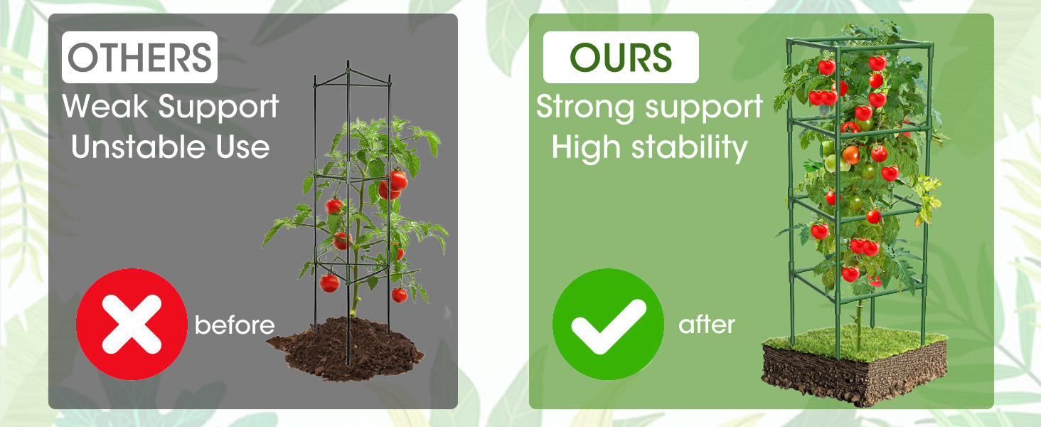 tomato plant support