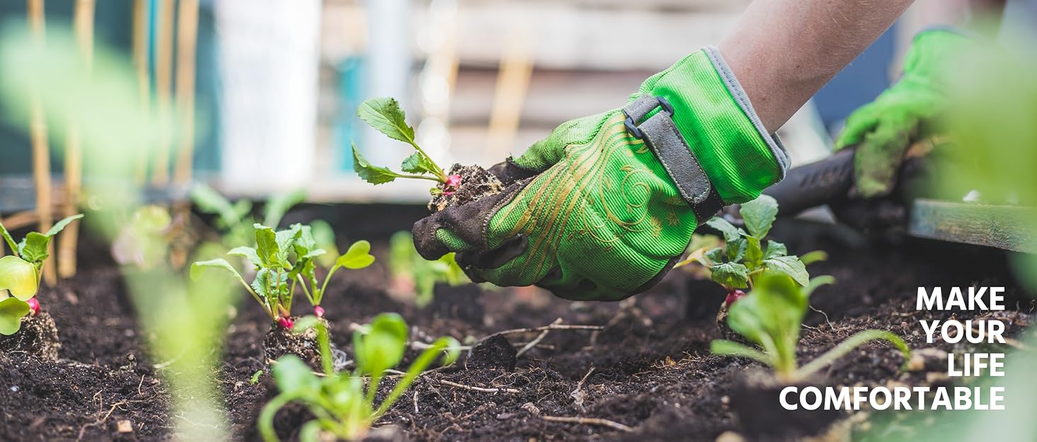 garden beds