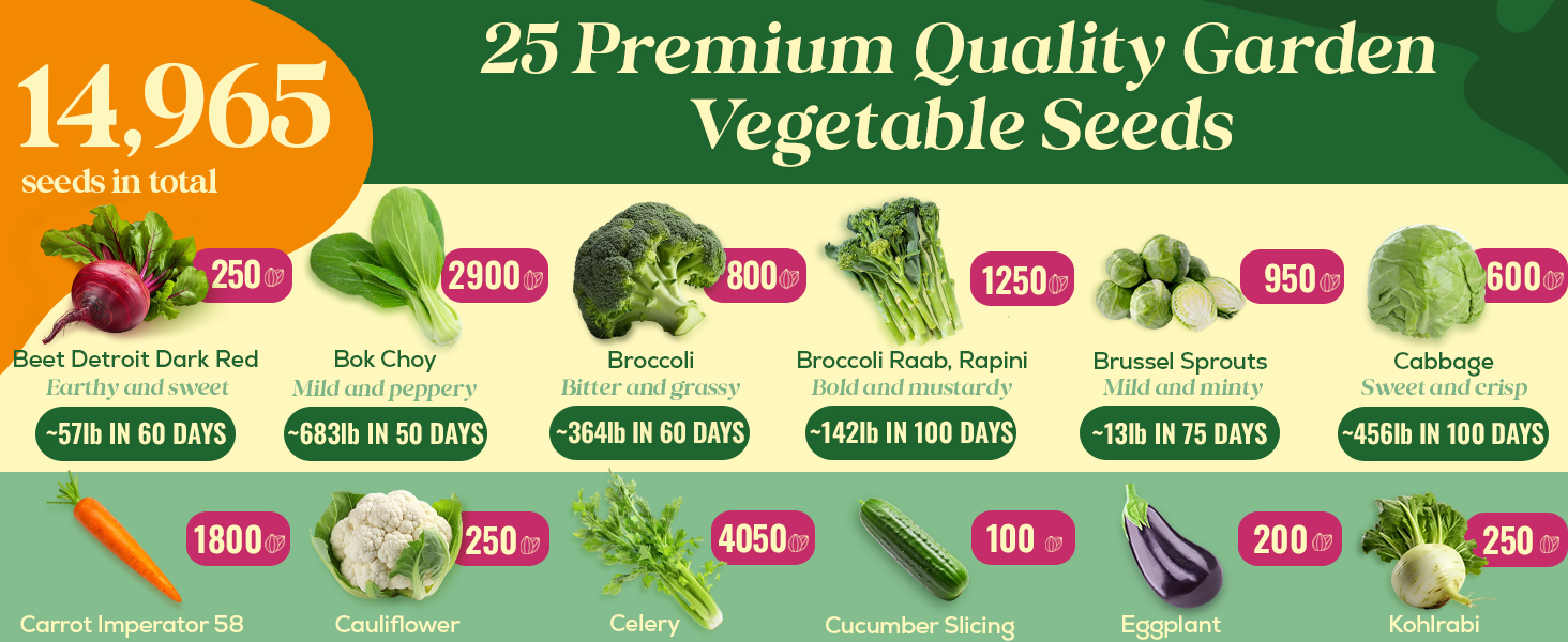 plant food veggie growing kit semillas de hierbas