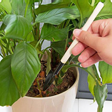 mini garden tools