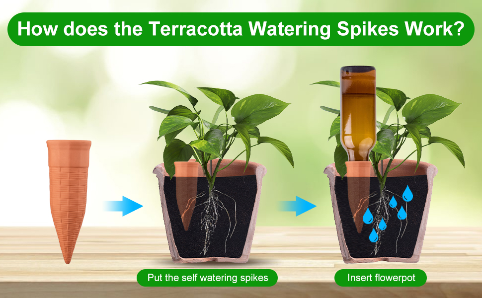 Plant Watering Devices