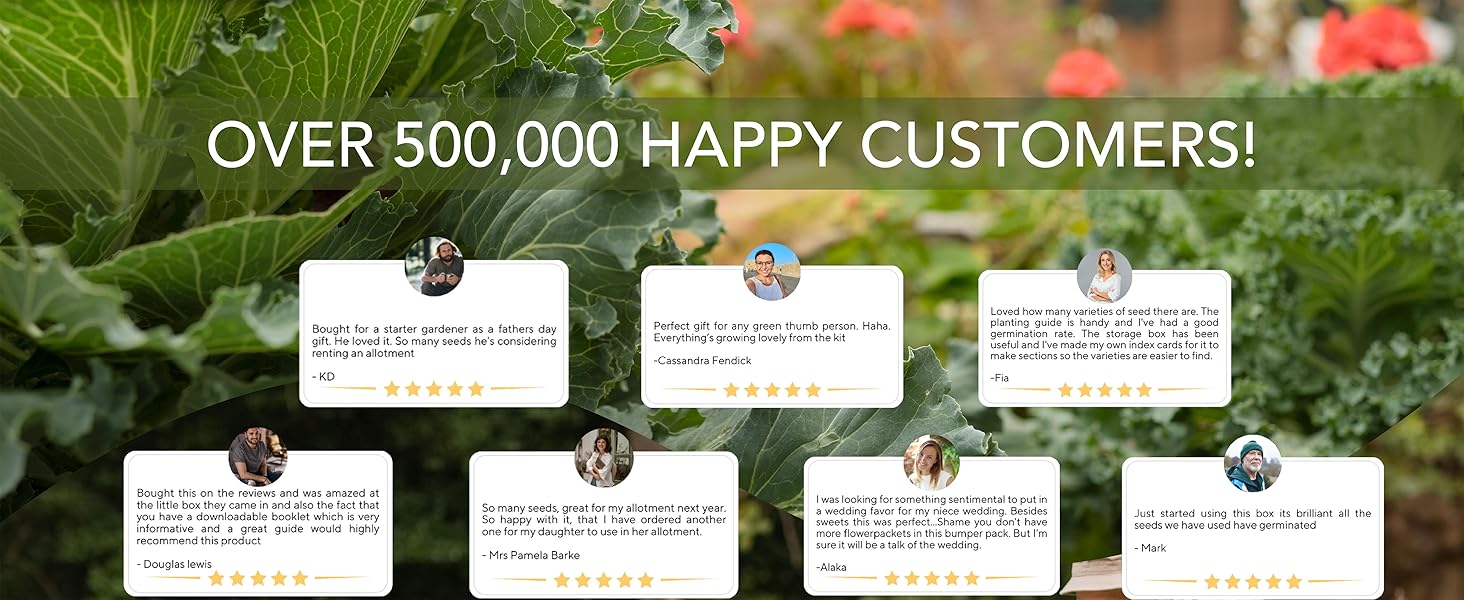 non gmo seeds tomato seeds plant seed veggie seeds gardening seeds