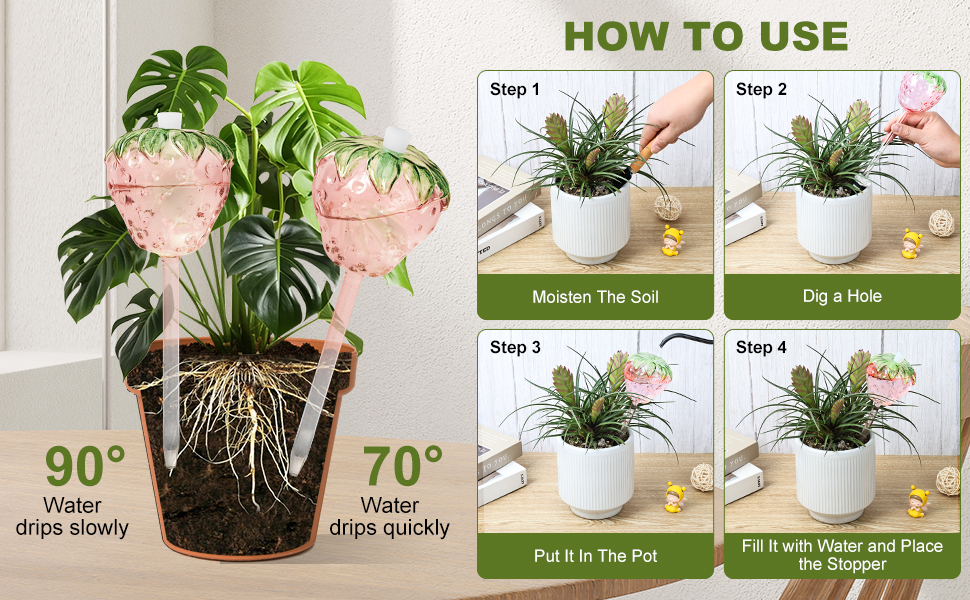 plant self watering devices