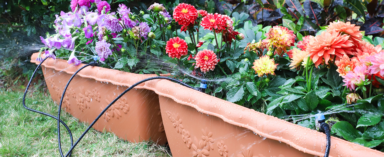 drip irrigation