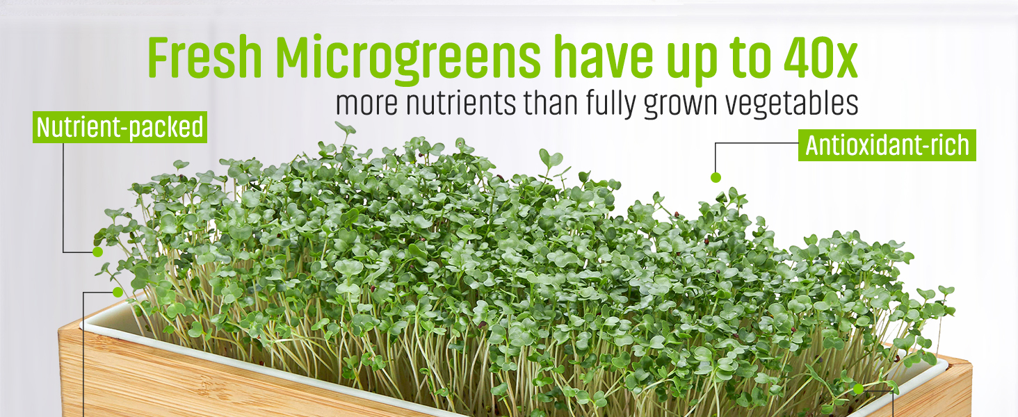 Microgreens kit
