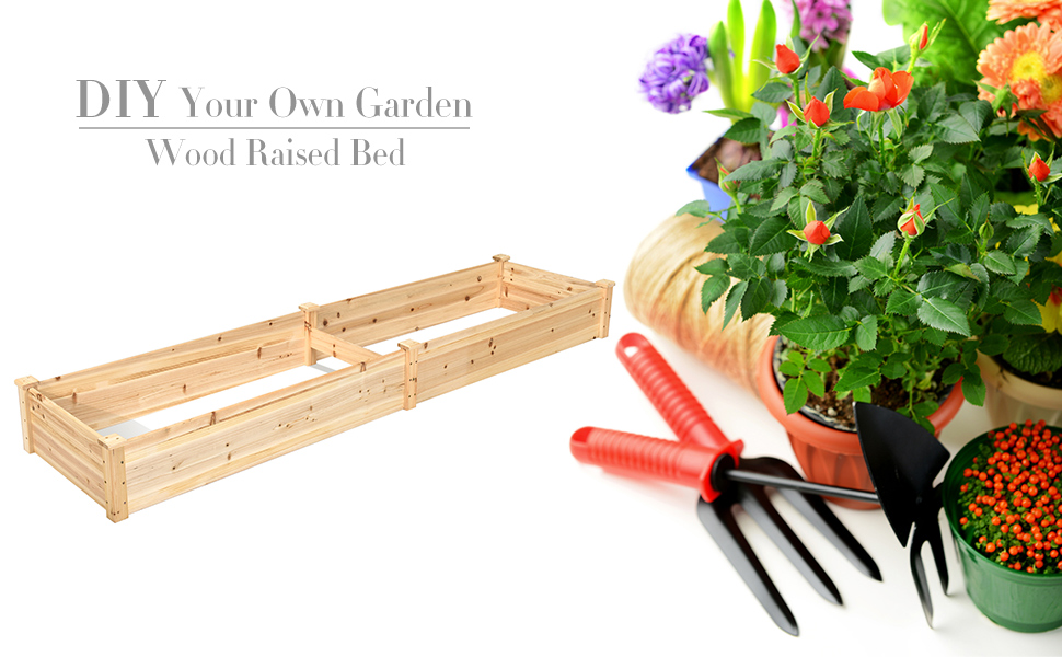 Plant raised bed