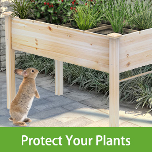 raised garden bed