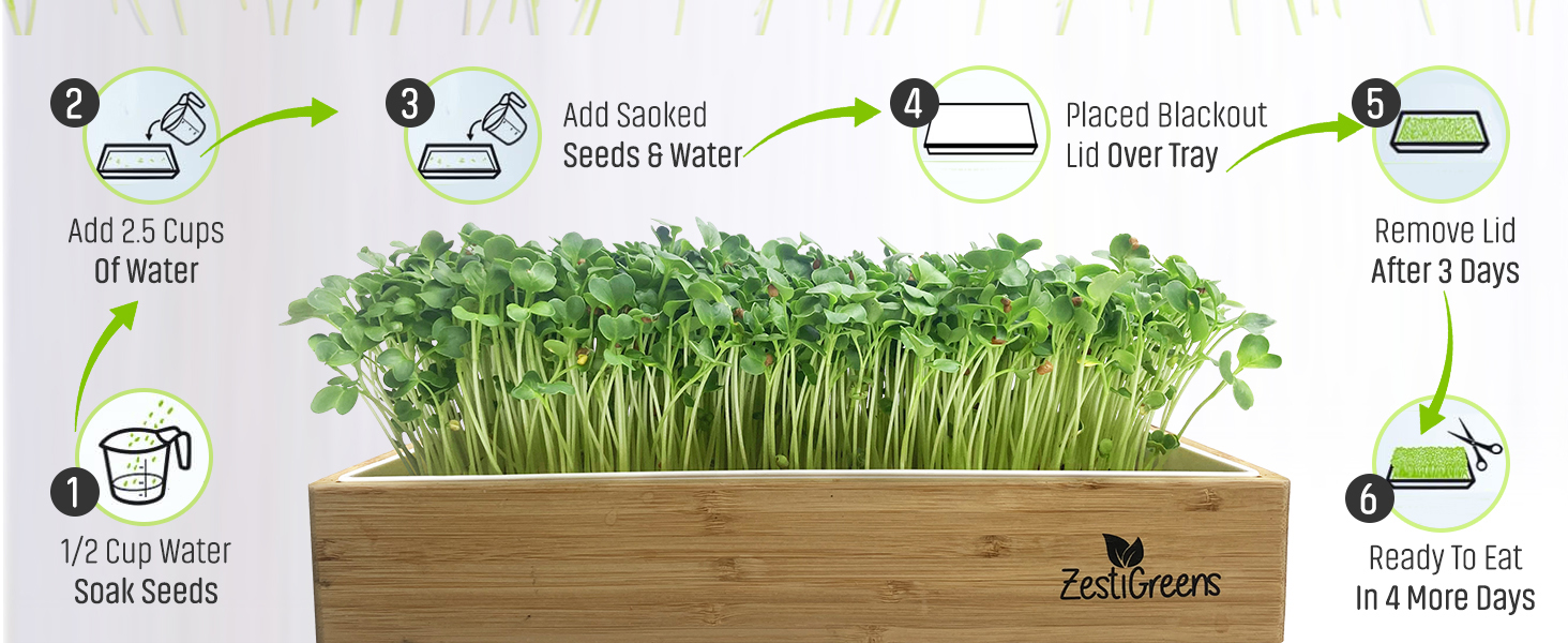 Microgreens growing trays