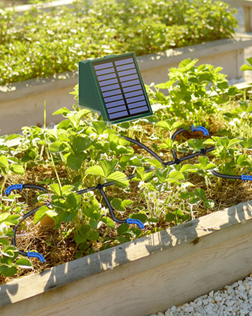 solar powered drip irrigation system