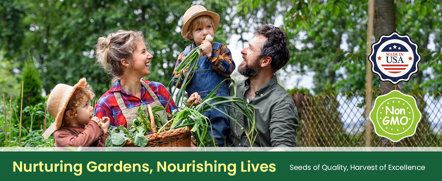 vegetable seeds for planting outdoors