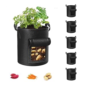 cavisoo potato bags