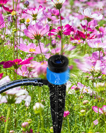 Drip Irrigation kit