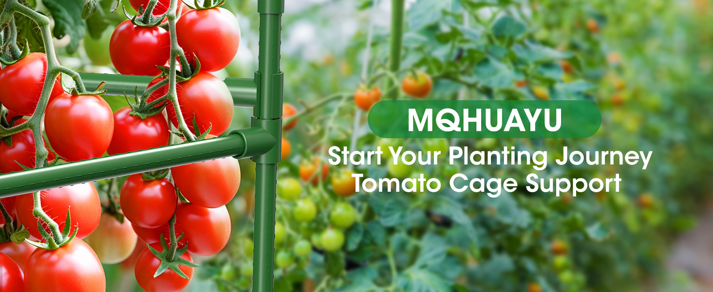 tomato cage 