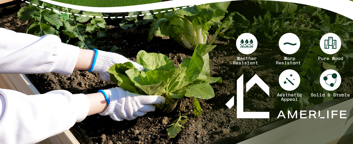 raised beds for gardening