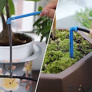 auto watering for plants