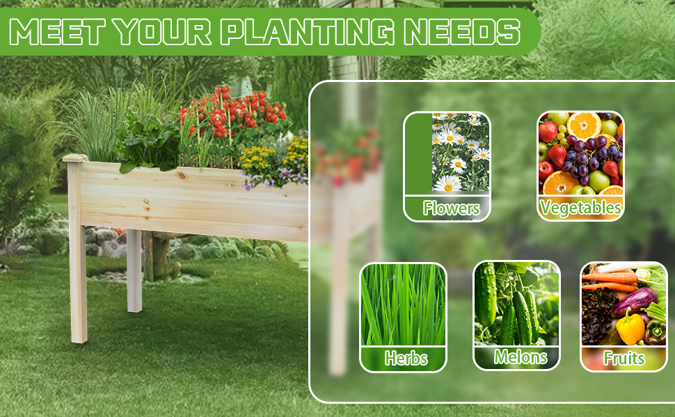 raised garden bed