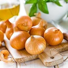 Onion Background