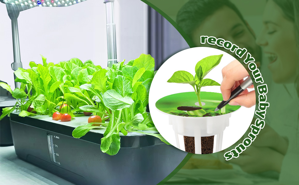 Hydroponic Kit