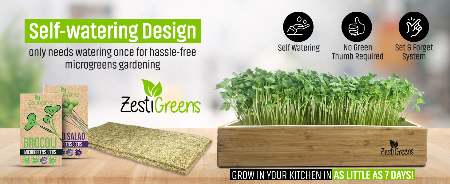 Sprouts growing kit