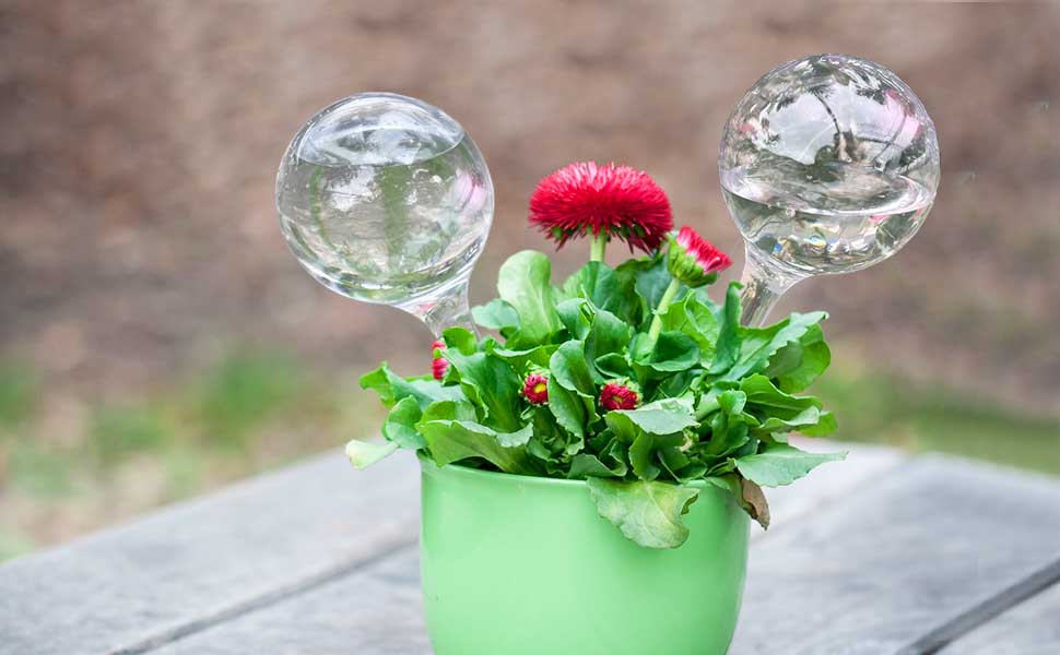 outdoor indoor flower watering