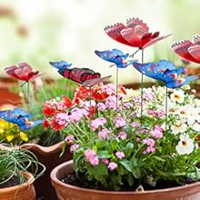 Butterfly Stakes