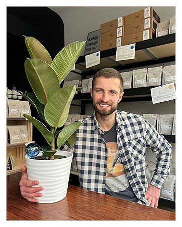 Plant watering Globes