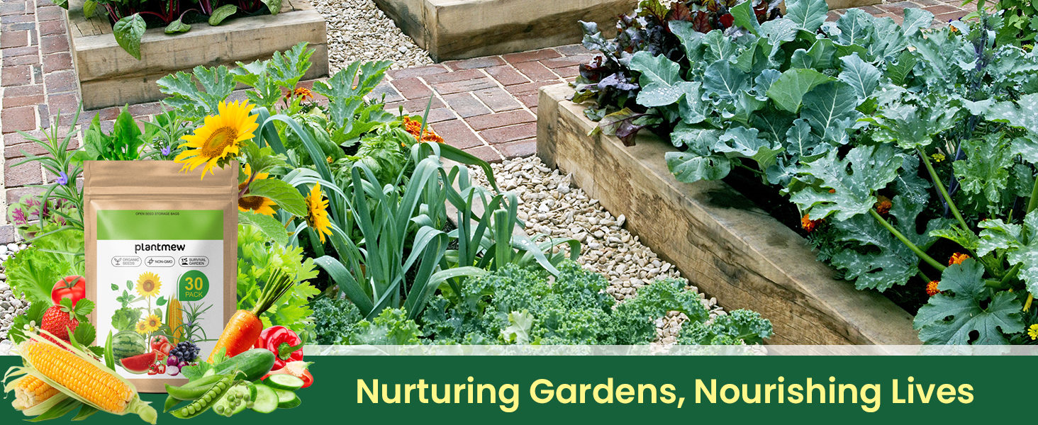 fall vegetable seeds