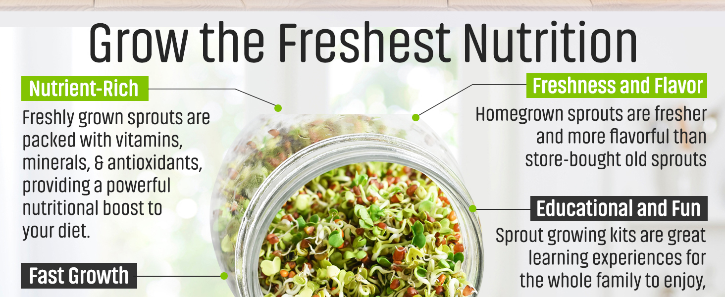 Sprouts Kit
